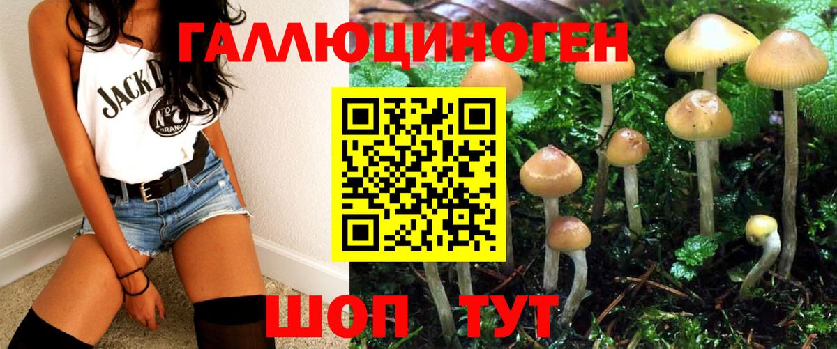 Галлюциногенные грибы Magic Shrooms  Вход с VPN  Павловский Посад 